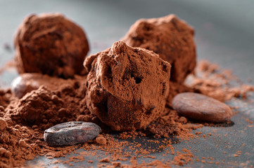 cocoa bean with truffle chocolate candy and powder close-up on black slate plate 