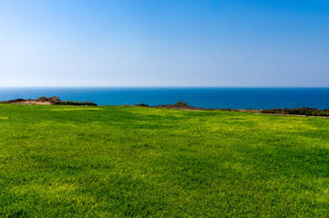 Fototapeta na wymiar Background green lawn, sea, sky.