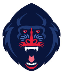 Mandrill monkey head