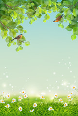 Fototapeta premium Vector Summer Landscape
