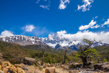 Landscape with trees, green grass and beautiful snow covered Fitz Roy mountain.