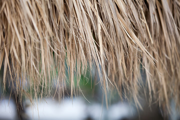 closeup of thatch roof background