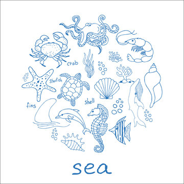 Hand drawn sea doodle Icons collection on white background. Vector illustration 