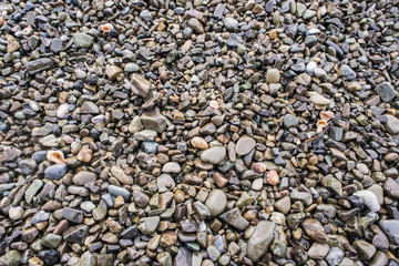 Stones Coast. Stone beach. Background, texture