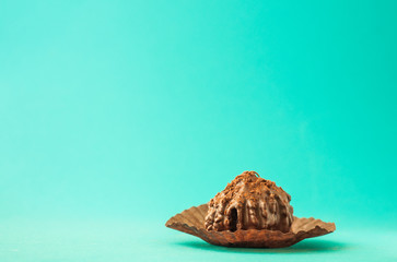 Chocolate chip muffin in brown wax paper. Unwrapped