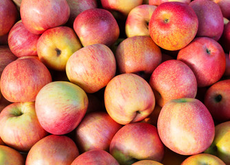 apples on shelf