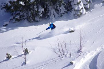 Fototapeta na wymiar ski hors piste - freeride