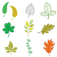 Vector set of various leaves of different colors on a white background. Wallpaper, textile, tissue, background. Vector illustration.