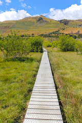 Boardwalk at Glenorchy South Island New Zealand