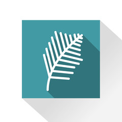 Long Shadow Palmenzweig