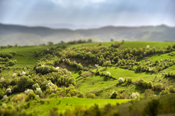 Spring above the countryside