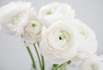 Blume