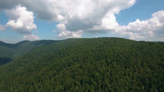 Aerial View. Flying over the beautiful forest. Aerial camera shot. Landscape panorama.