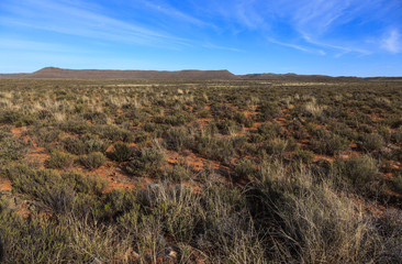 The great Karoo