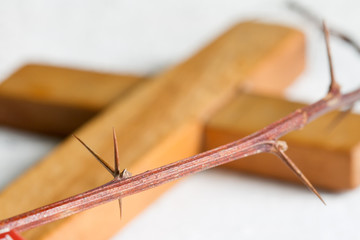 Cross and thorn closeup abstract easter concept on white background