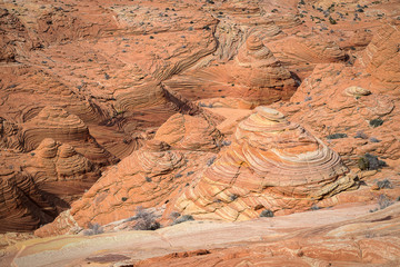 The Wave, Navajo Sandstone, Arizona