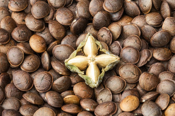 Inka Erdnuss Sacha Inchi