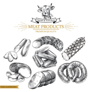Set of hand drawn sausages isolated on white background. Meat products sketch elements. Retro hand-drawn smoked and boiled sausages vector illustration.