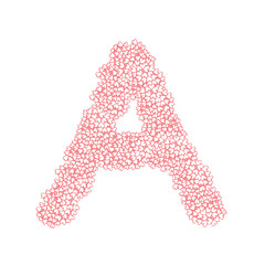 The letter A, in the alphabet Heart flower bush illustration set flat design pink color isolated on white background, vector eps10