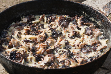 Gyromitra Esculenta known as False morel. Photo has been taken in the natural forest background.