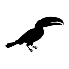 Toucan Bird Flat Design Vector Illustration © robu_s