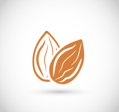 Almond icon vector