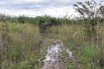 wet and muddy terrain