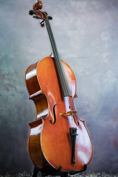 Violoncello