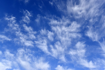 雲