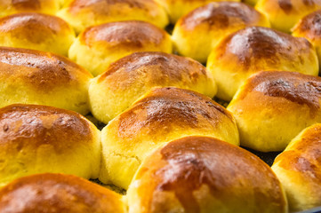 Freshly baked homemade scones