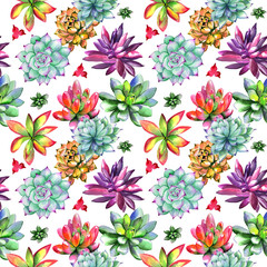 Wildflower succulentus flower pattern in a watercolor style isolated.