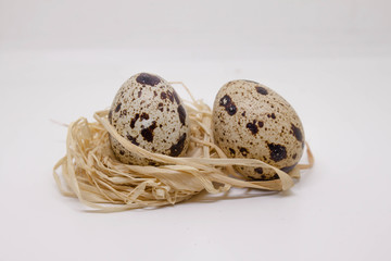quail egg and nest in white backgrounds