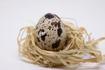 easter quail egg and nest in white backgrounds