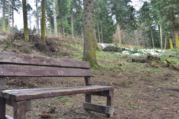 Fototapeta premium Wooden Bench in Golcuk National Park, Bolu, Turkey