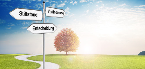 Wegweiser entscheidung