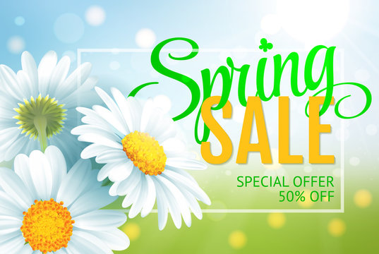Springr sale concept. Summer background with chamomile and blue green landscape background. Template for banners, web, flyer, voucher. Vector illustration.