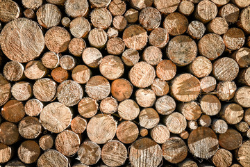 Pile or stack of natural fire wood logs texture background.
