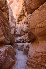 Path in the canyon of the Valley of Fire State Park Nevada, USA