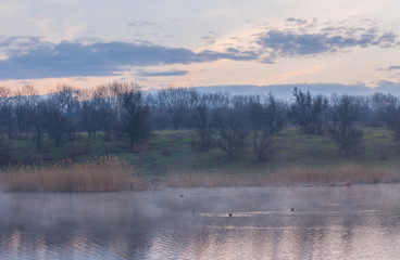 Obraz na płótnie Canvas Misty morning at the lake