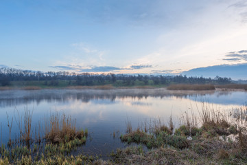 Misty morning at the lake