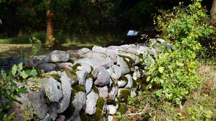 Mauer mit Moos