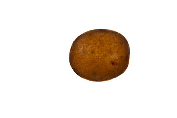 Fototapeta premium One potato isolated on white background