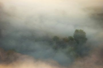fog in natural morning landscape