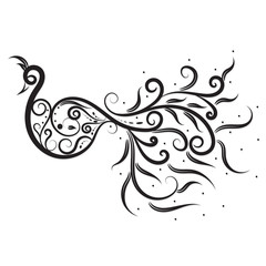 vector illustration of peacock calligraphic isolated on white