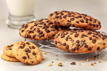 Chocolate chip cookies on a white background