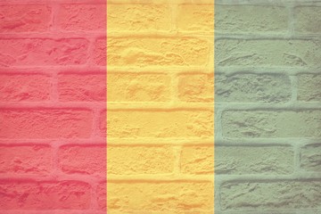 Grunge Guinea flag pattern  on bricks