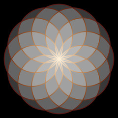 Flower of Life. Sacred Geometry.