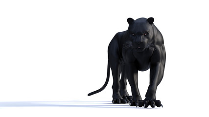 Naklejka premium Black panther isolate on white background, Black tiger, 3d Illustration, 3d render