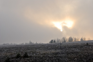 Winter landscape with sun shining through clouds and noarfrost plants