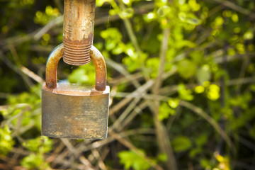 Rusty metal padlock against nature - concept image with copy space